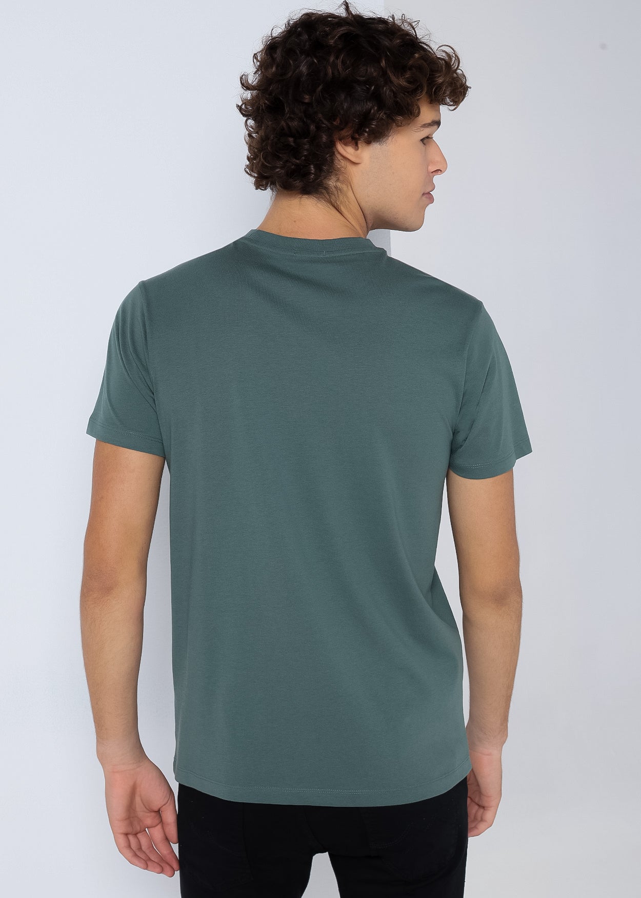 Camiseta Manga Corta Basic Logo  377