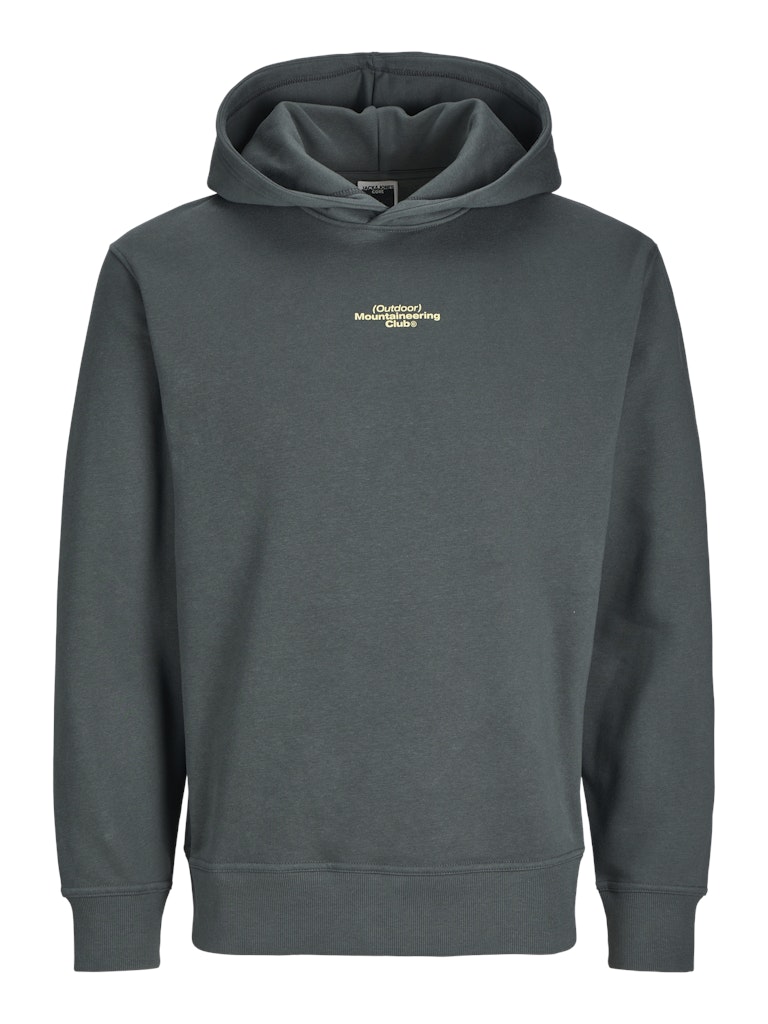 Jack & Jones Jcoalpha Mountain Print Sweat Hood Jack & Jones Sweatshirt 12266504Urban Chic